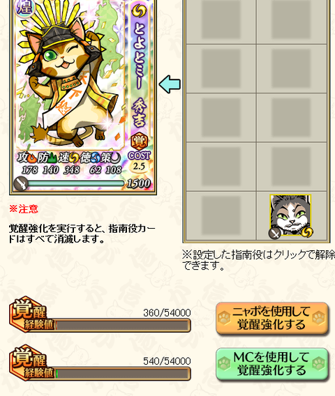 kiramekikakusei2