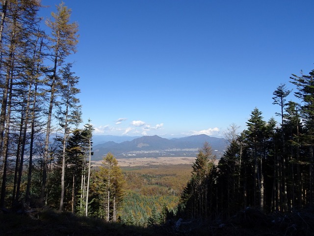 DSC03955