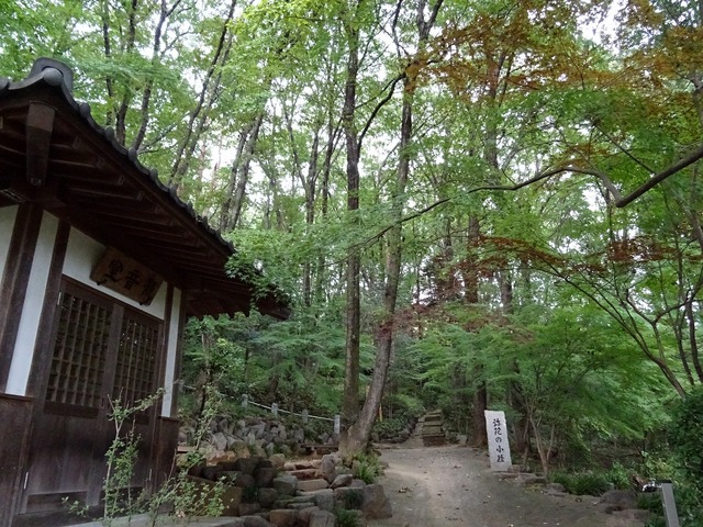 DSC03881