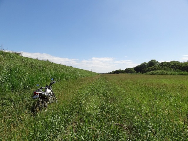 DSC09064
