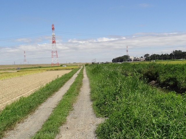 DSC09060