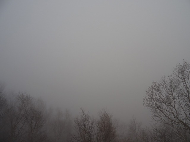 DSC03990