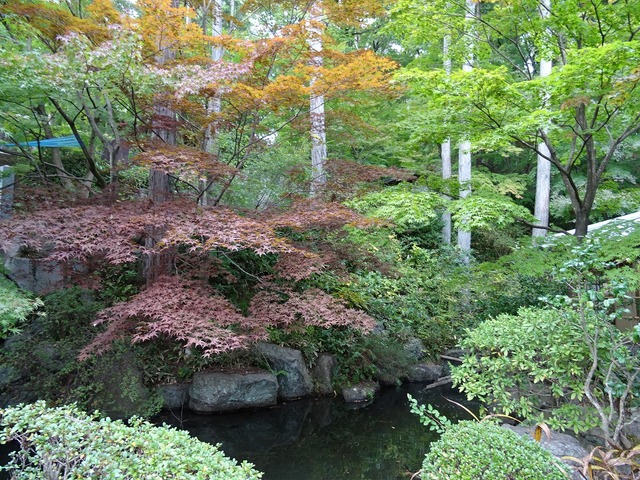 DSC03889