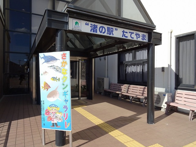 DSC05145