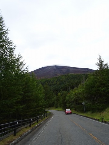 DSC02376
