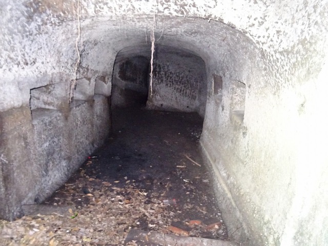 DSC05179