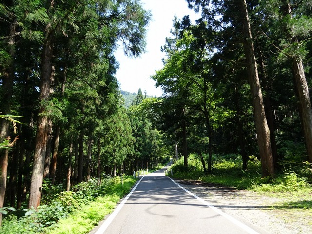 DSC02032