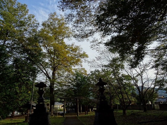 DSC03911