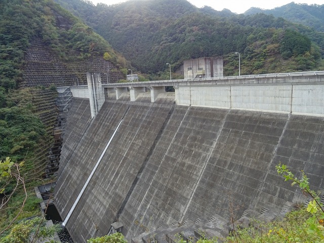 DSC03905