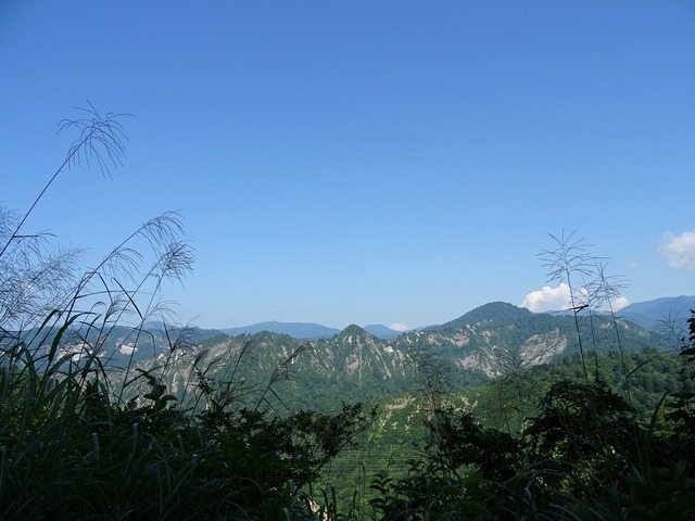 DSC02078