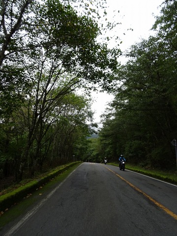 DSC02334