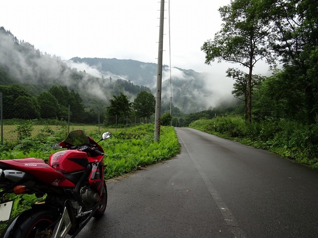 DSC01989