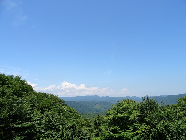 DSC01964