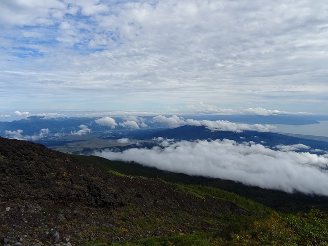 DSC02459