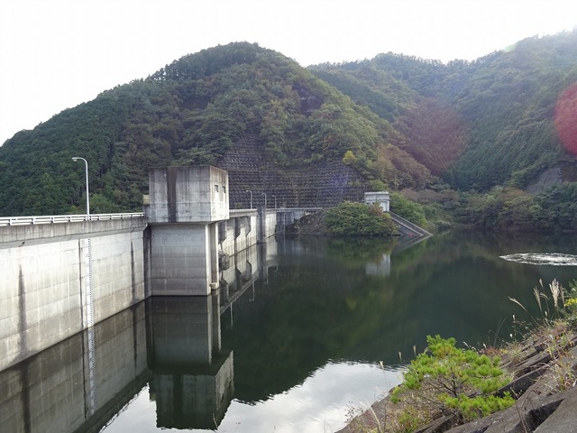 DSC03901