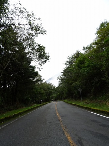 DSC02329