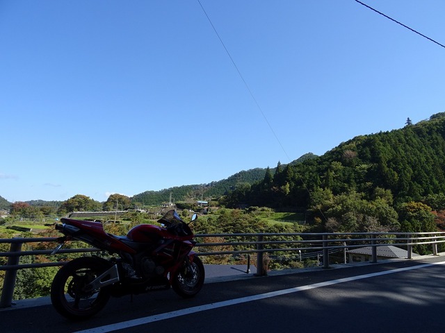 DSC03924
