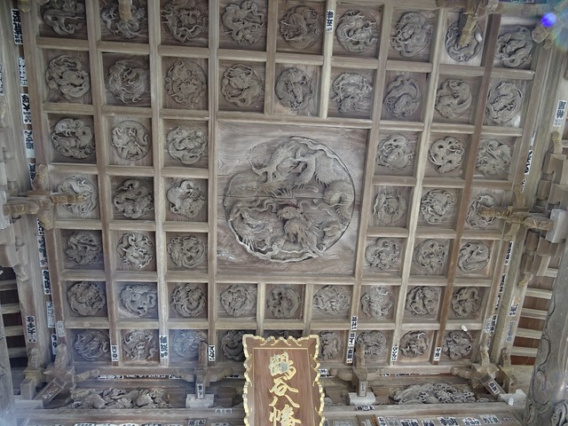DSC05153