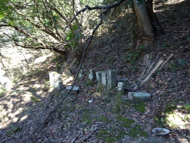 DSC05126