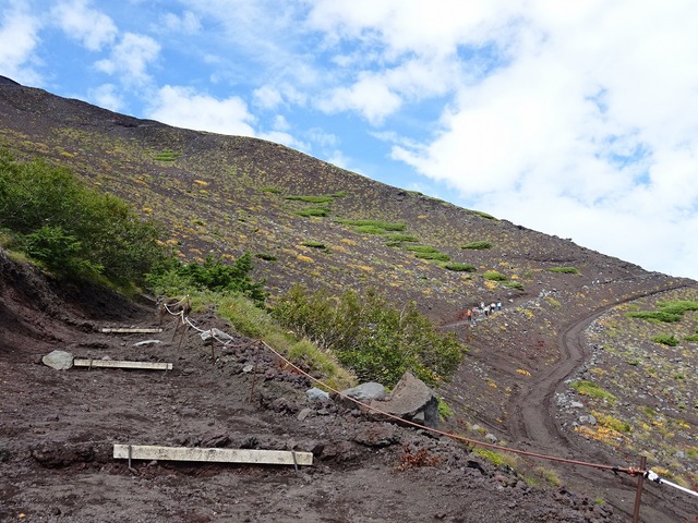 DSC02431