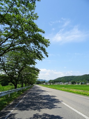 DSC01926