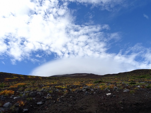 DSC02467