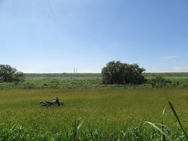 DSC09070