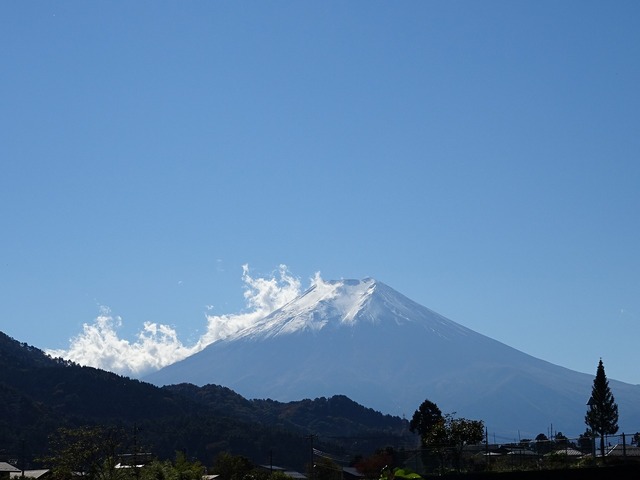 DSC03950