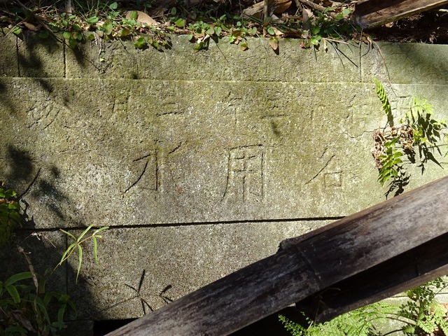 DSC05121