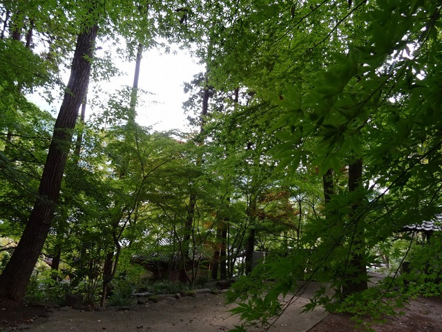 DSC03884