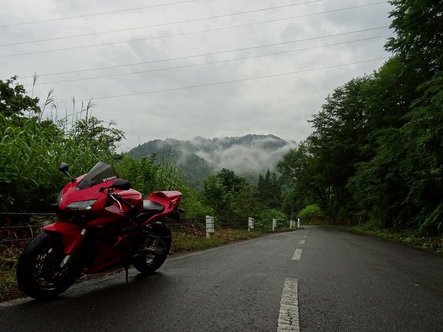 DSC02010