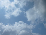 220d4c83.jpg