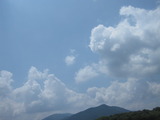 65d27f09.jpg
