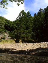 b0458b55.jpg