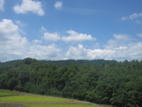 e1c629f4.jpg