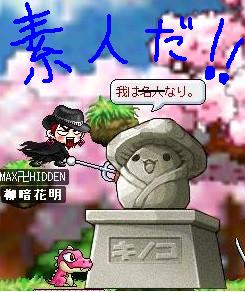 きのこ