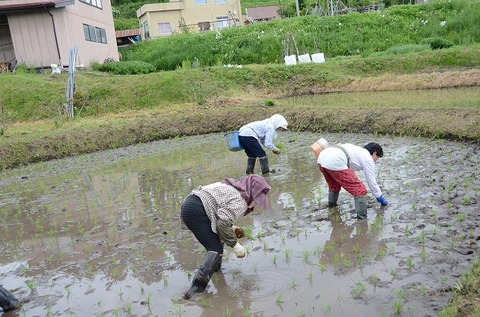 201805030_859