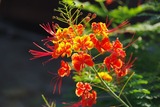 IMGP0144