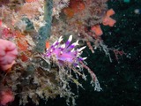 DSCN5890