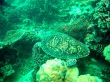 DSCN5866