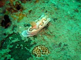 DSCN5898