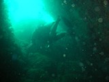 DSCN5845