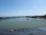 IMG_3449