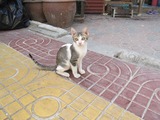 IMG_3295