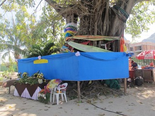 IMG_9701