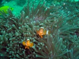 DSCN5894