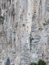 IMG_3222