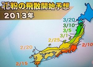 b2013花粉飛散開始予想2