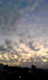 3073fa1f.jpg