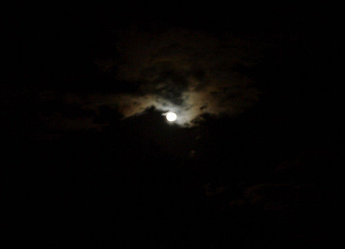 resize0247